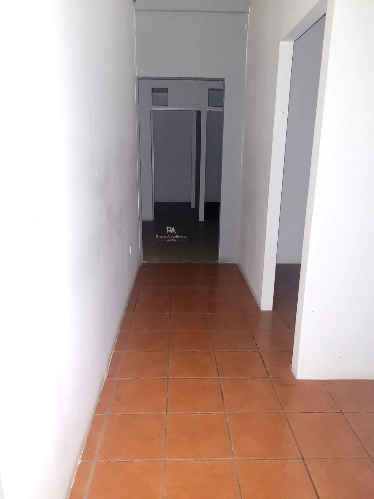 Locales comerciales en Limón