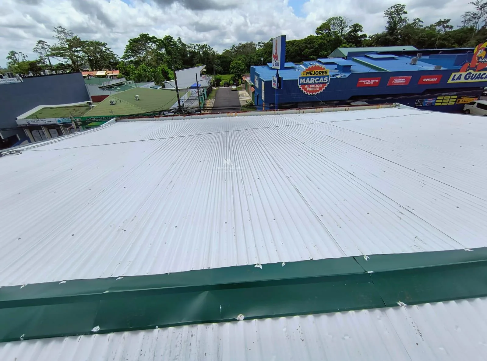 Locales comerciales en Limón
