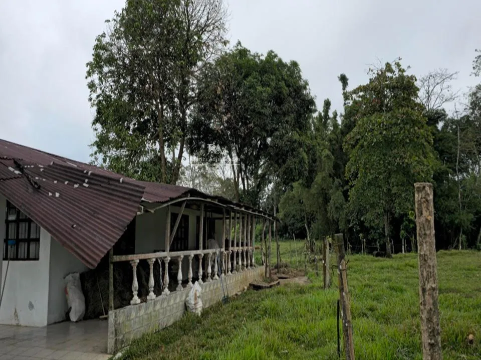 Lote con construcción en San Ramón