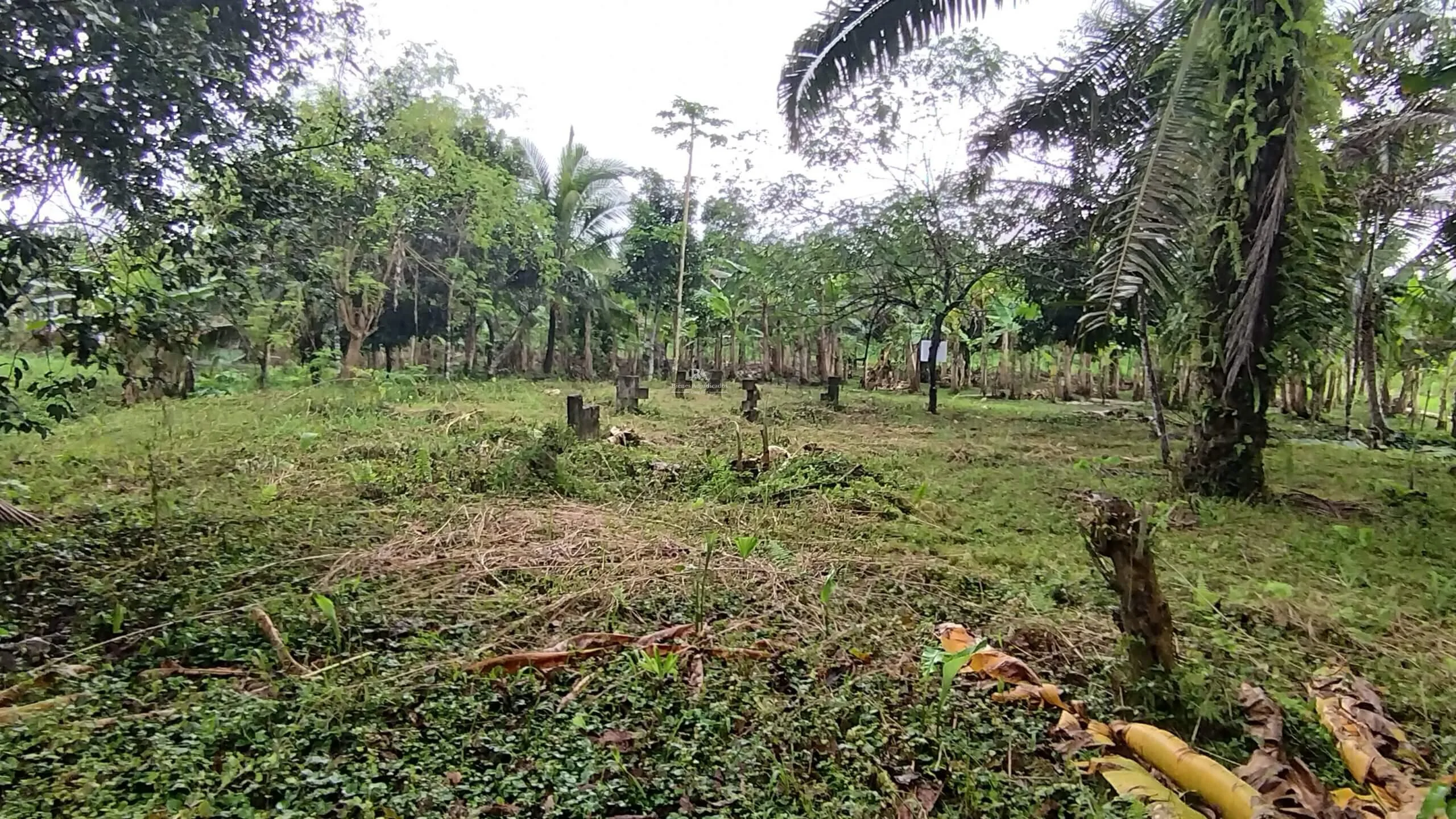 Lote – Construcción en Corredores Puntarenas