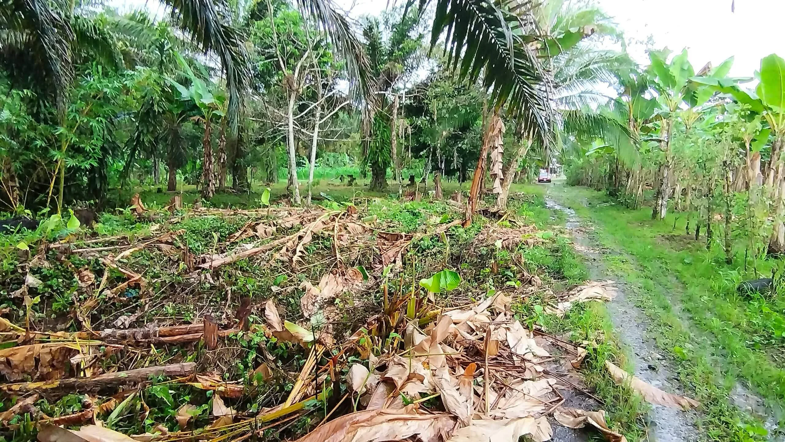 Lote – Construcción en Corredores Puntarenas