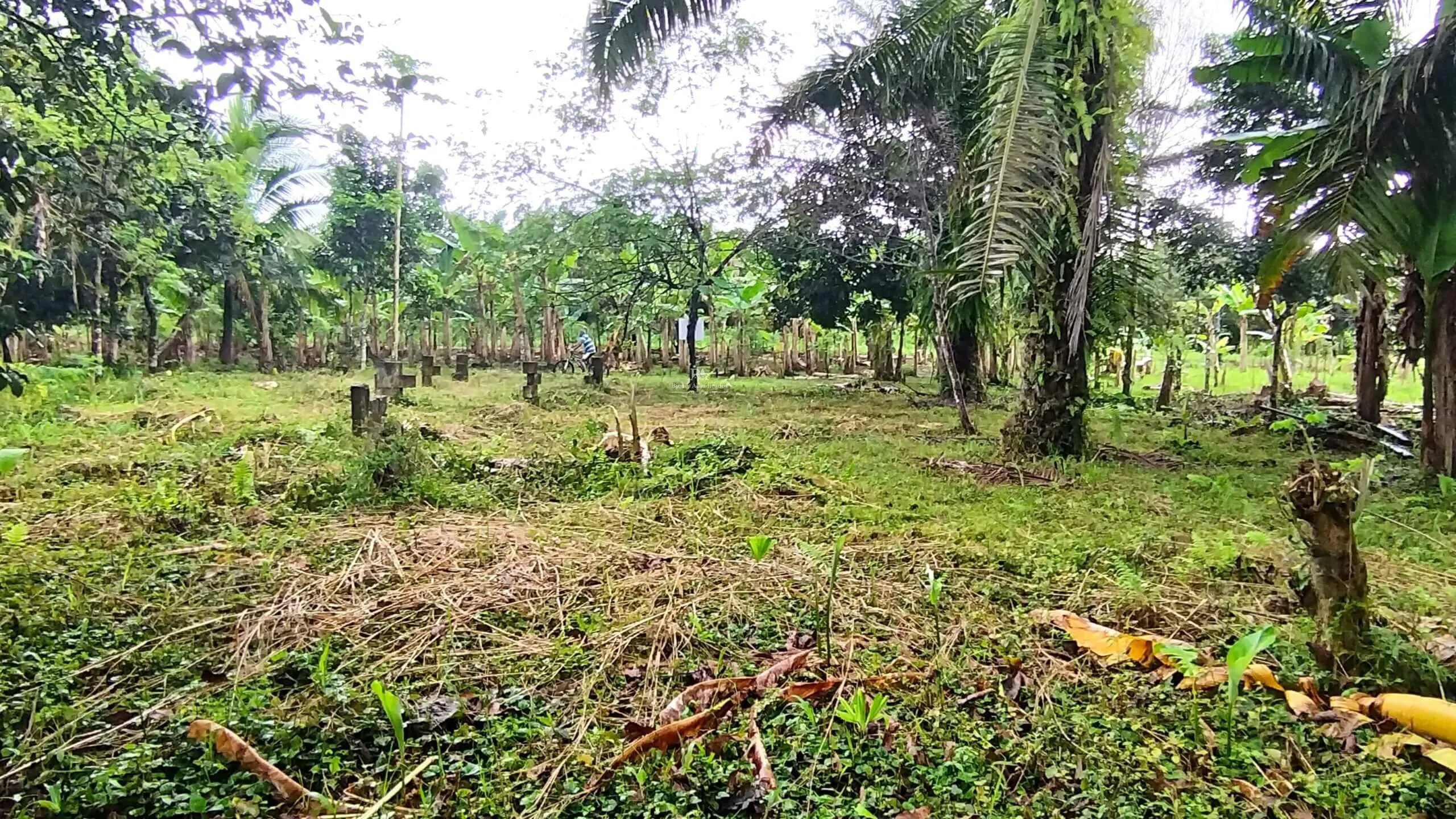 Lote – Construcción en Corredores Puntarenas