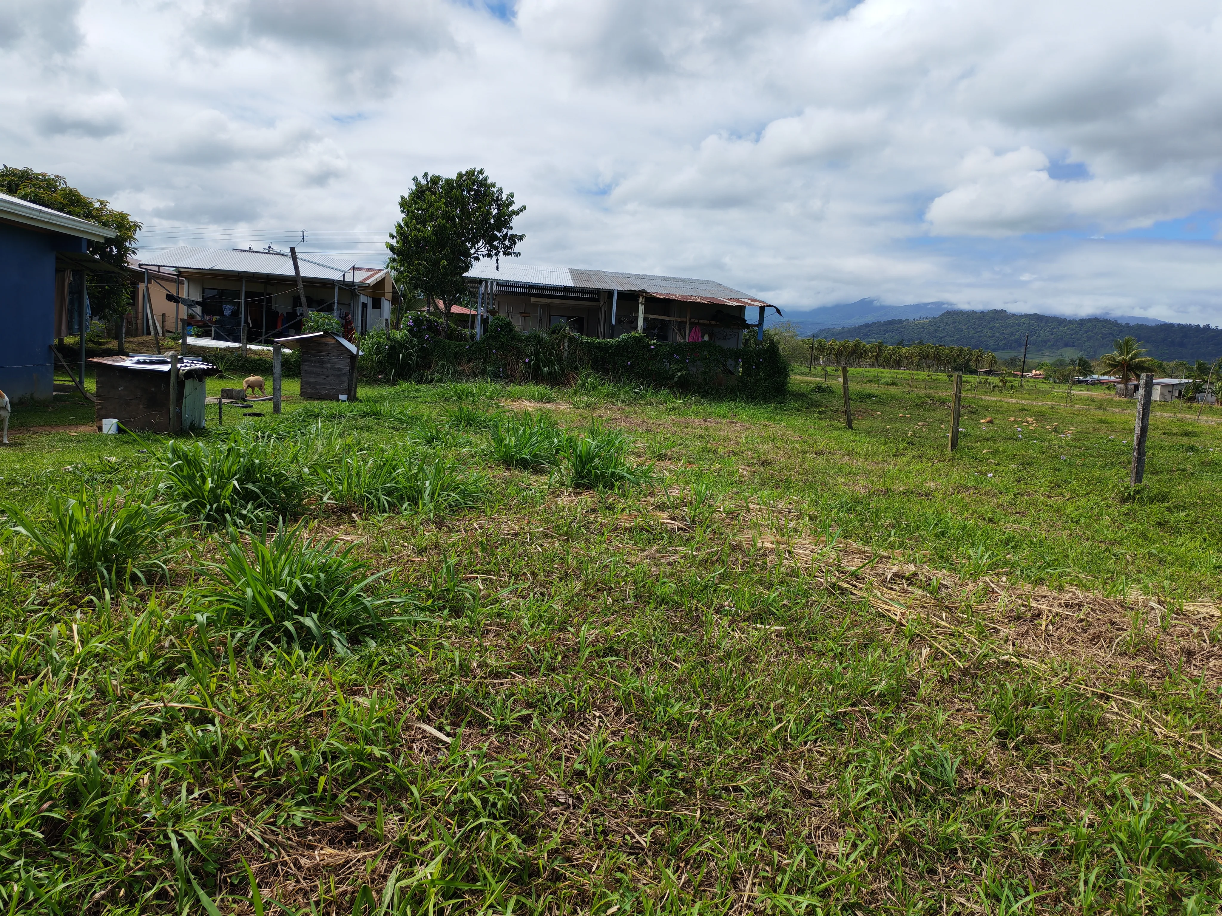 Lote en Aguas Zarcas San Carlos