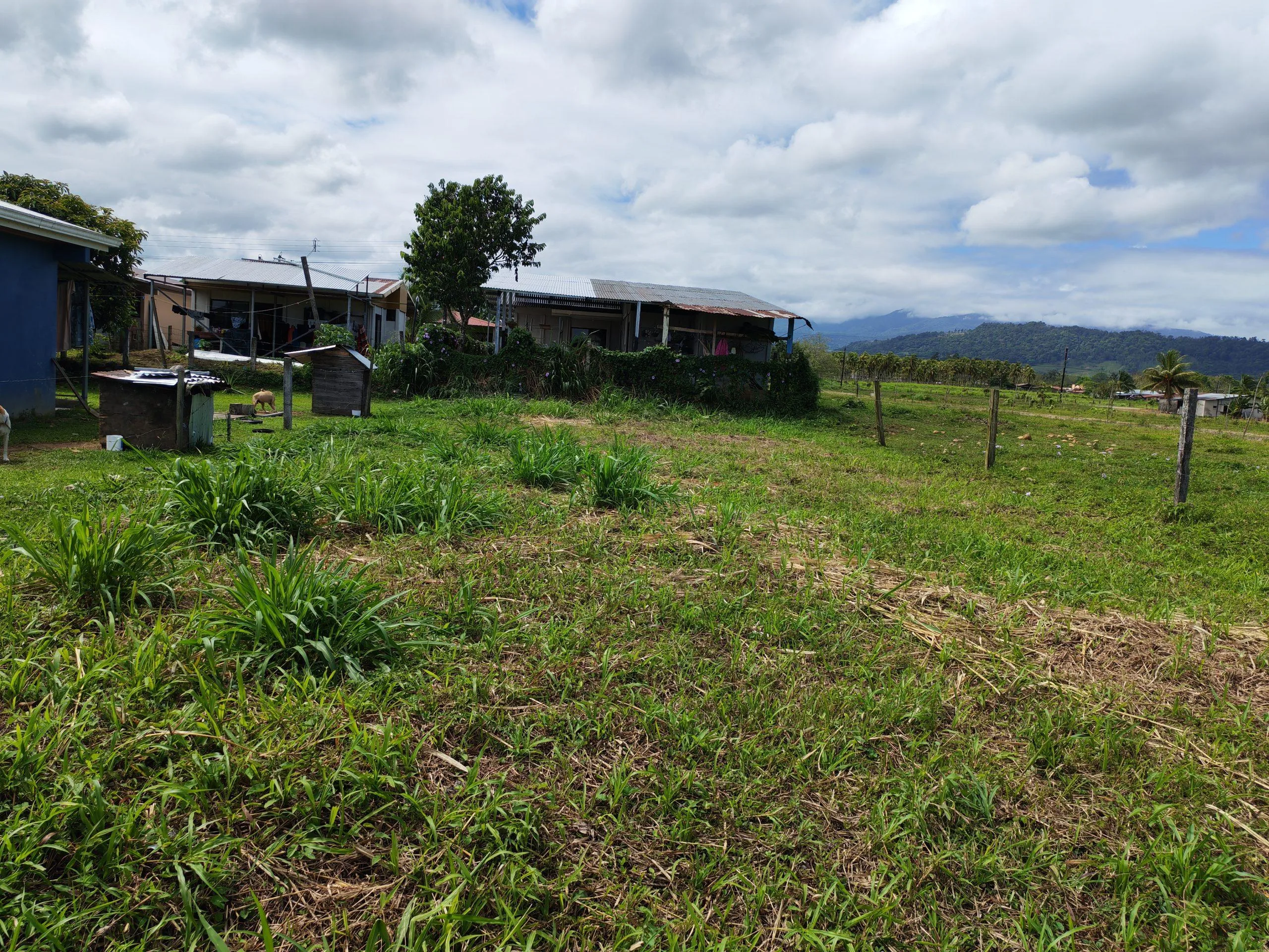 Lote en Aguas Zarcas San Carlos