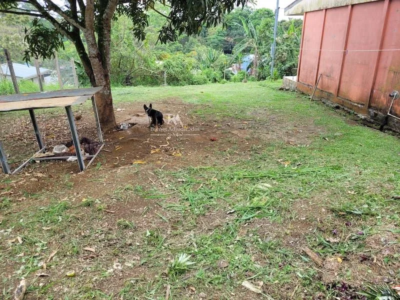 Lote en Aguas Zarcas San Carlos