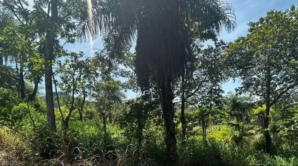 Lote en Alajuela Atenas Quebradas