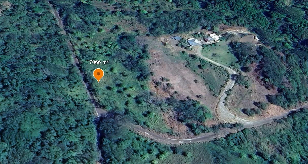 Lote en Alajuela Atenas Quebradas