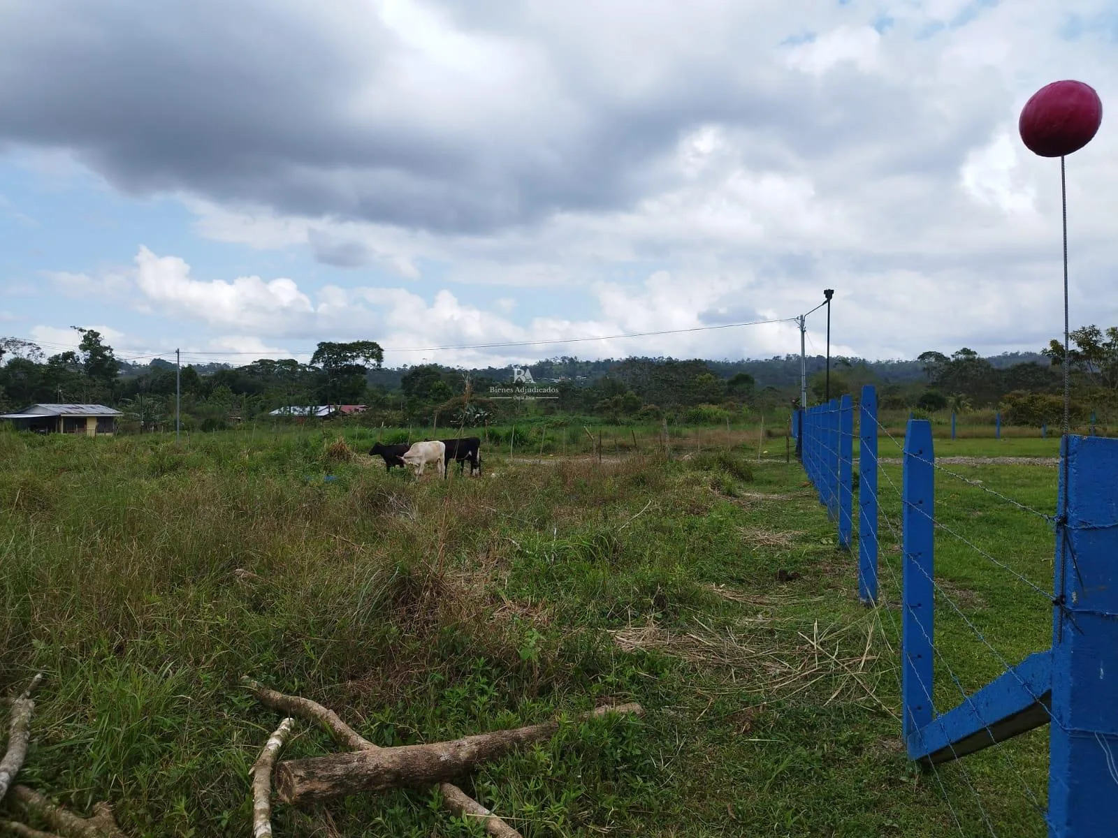 Lote en Alajuela San Carlos