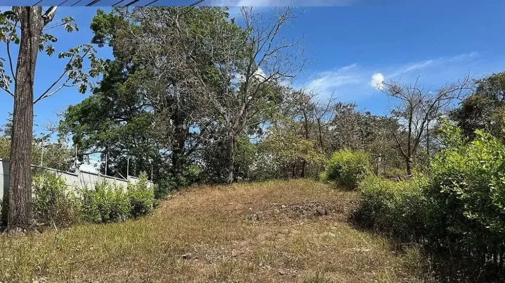 Lote en Alajuela San Mateo