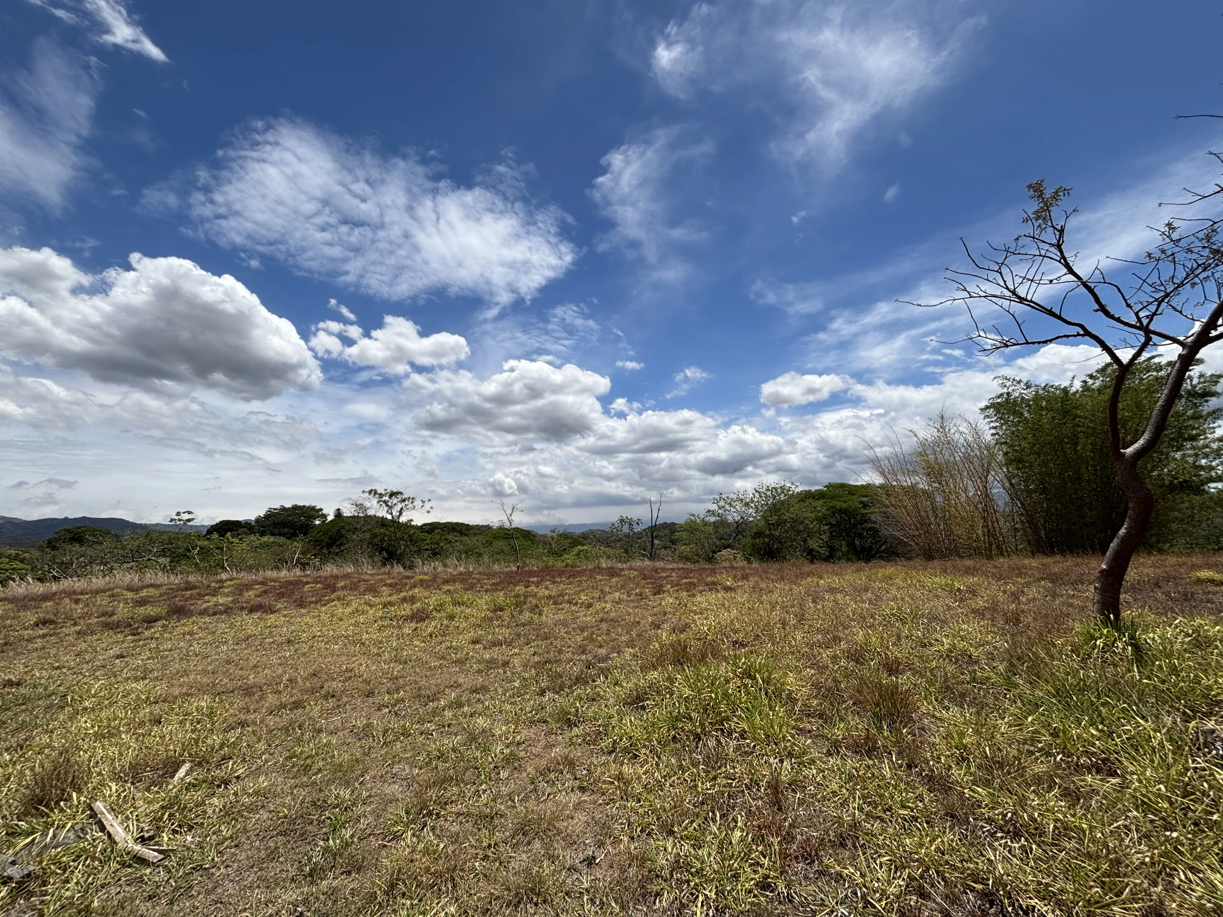 Lote en Alajuela Urbanización Quintas Montisel