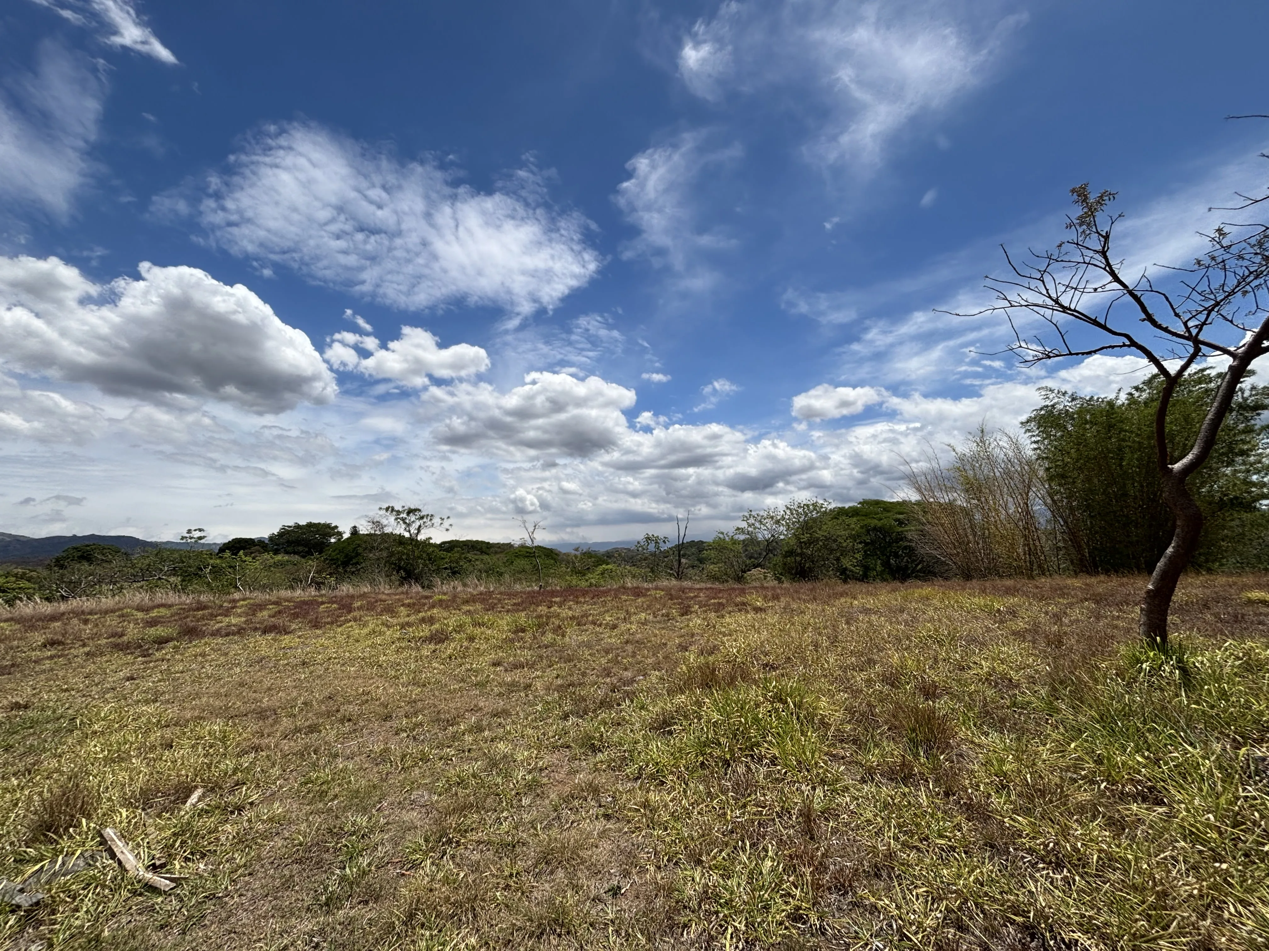 Lote en Alajuela Urbanización Quintas Montisel