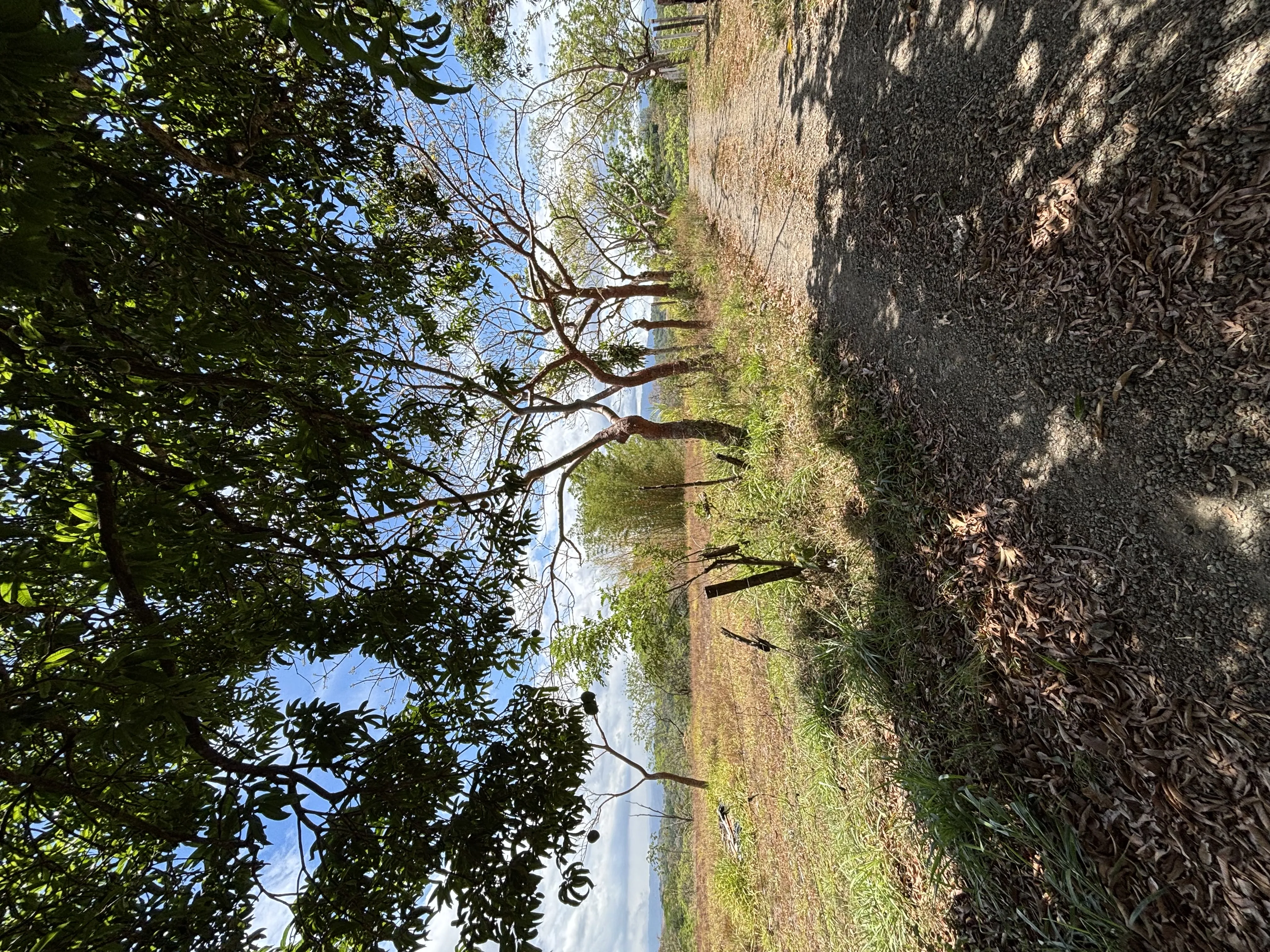 Lote en Alajuela Urbanización Quintas Montisel