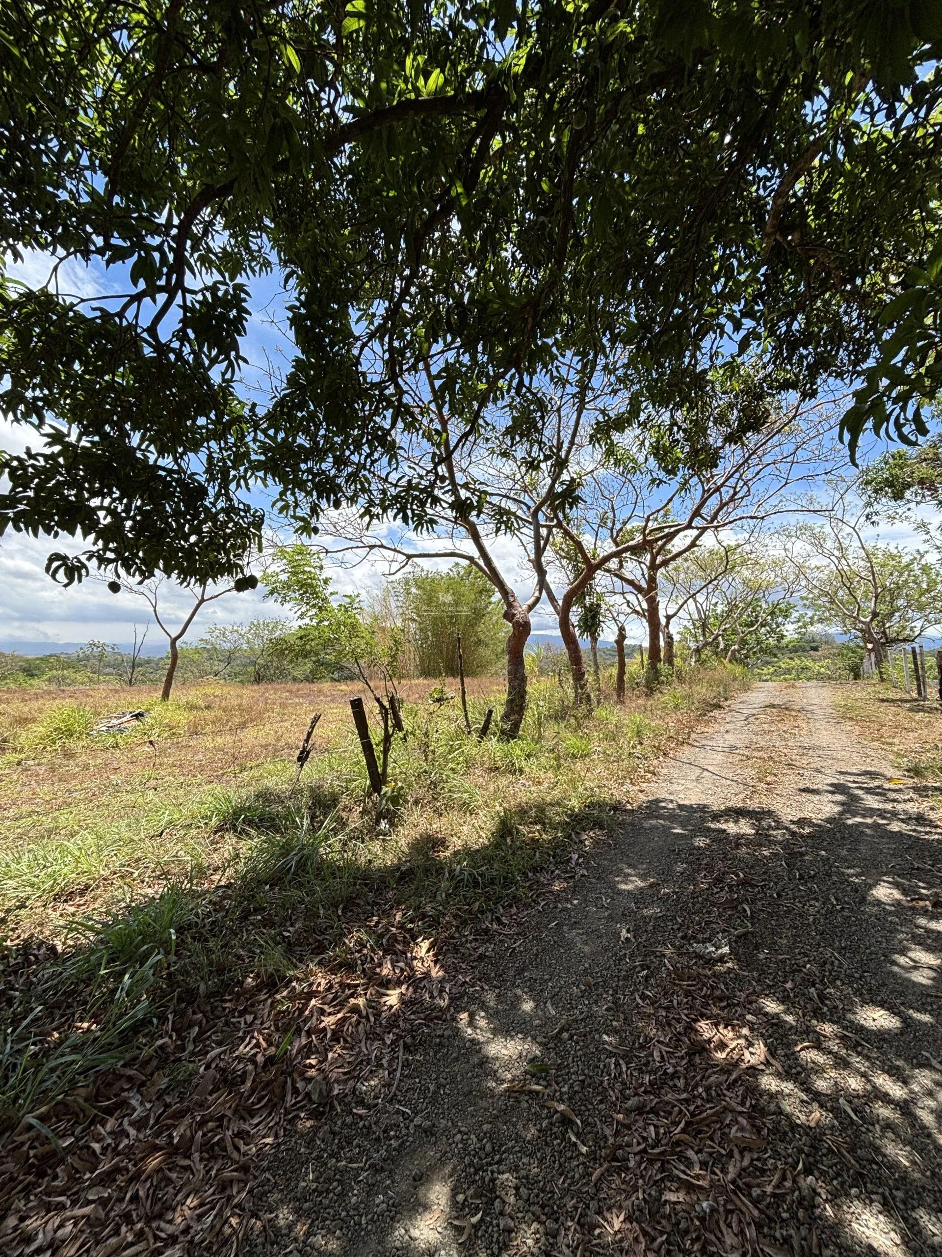 Lote en Alajuela Urbanización Quintas Montisel