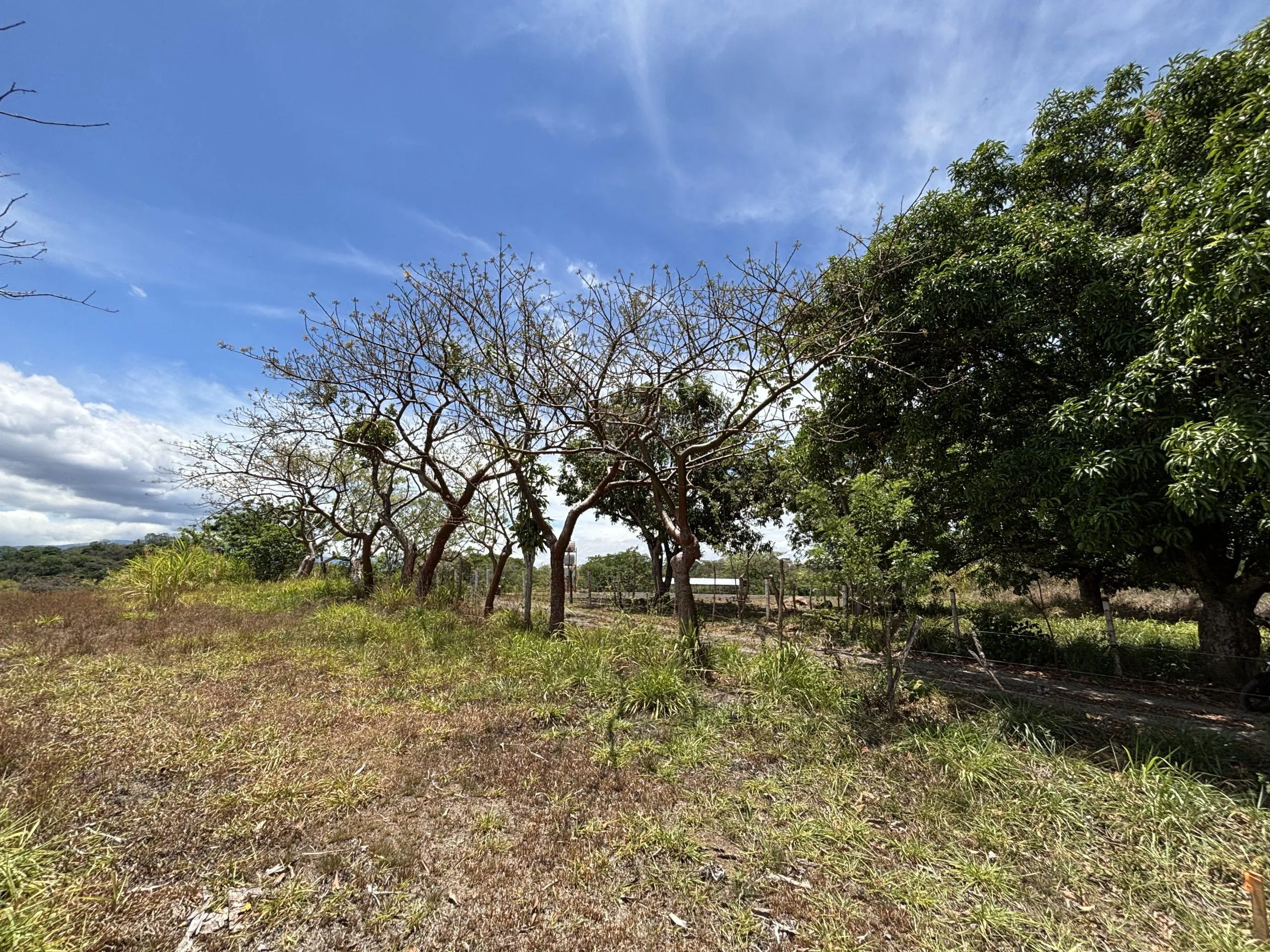 Lote en Alajuela Urbanización Quintas Montisel