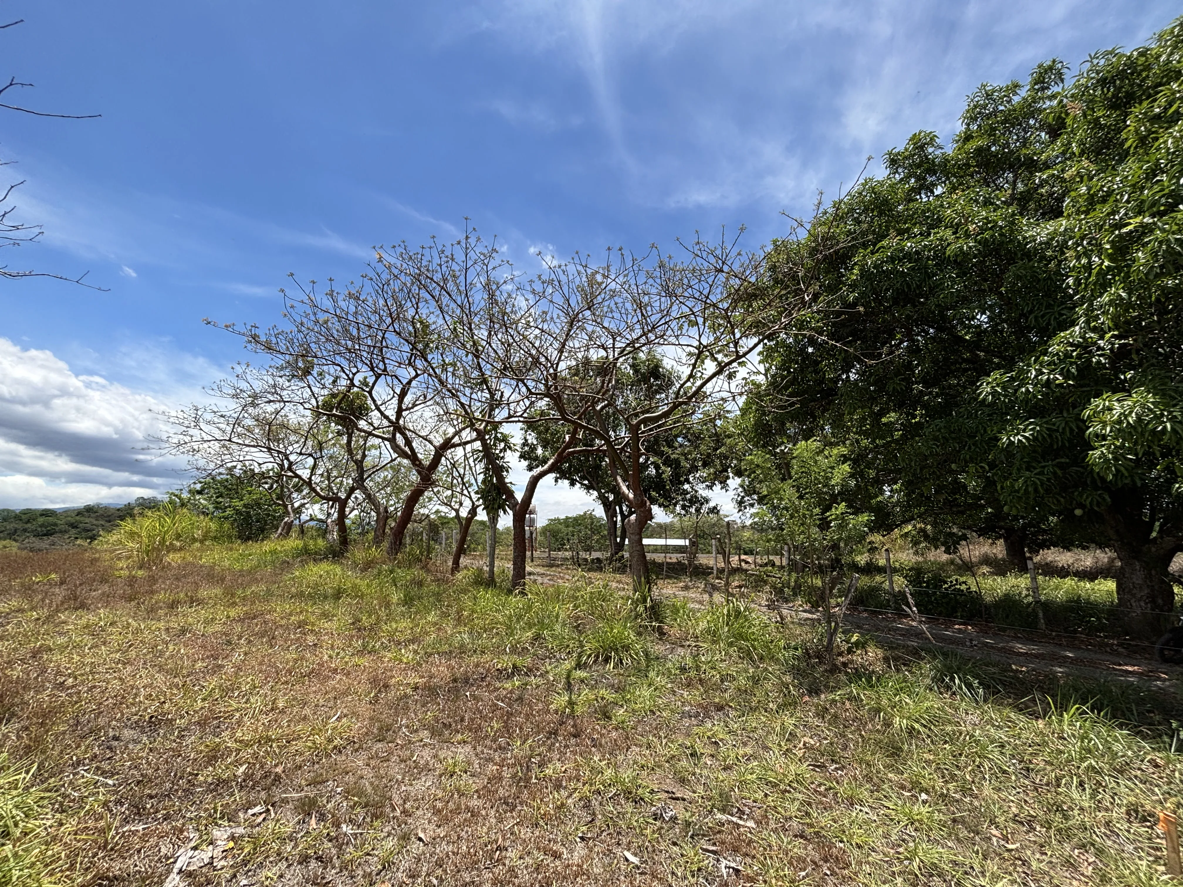 Lote en Alajuela Urbanización Quintas Montisel