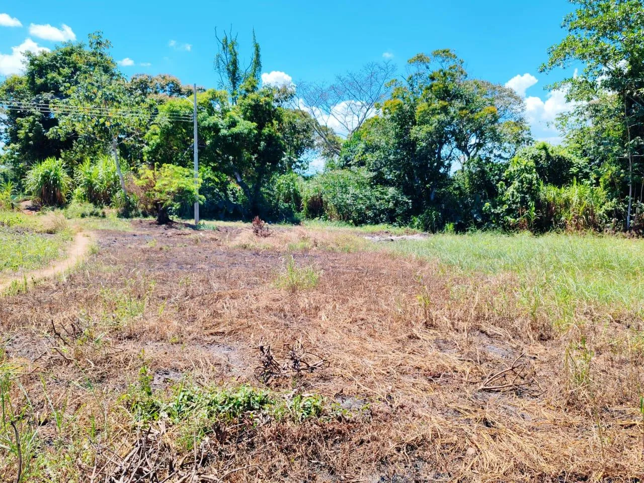 Lote en Buenos Aires