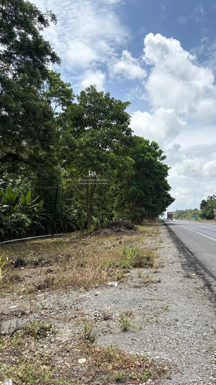 Lote en Búfalo de Limón