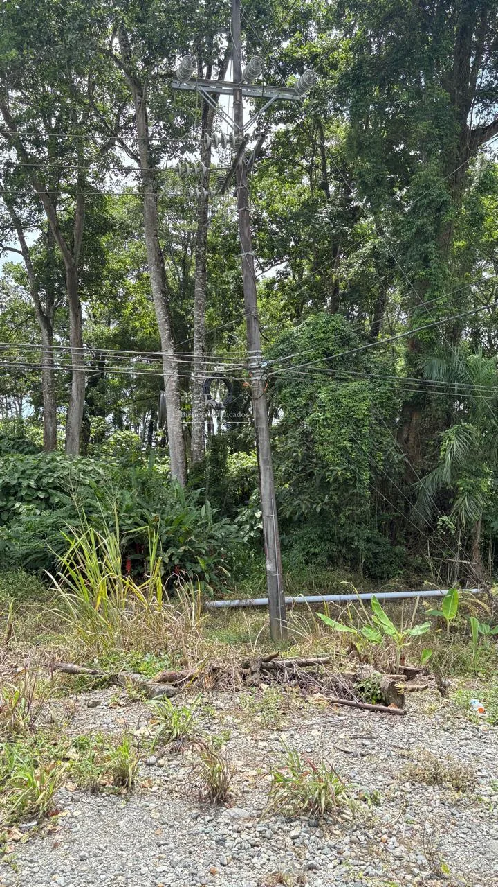 Lote en Búfalo de Limón
