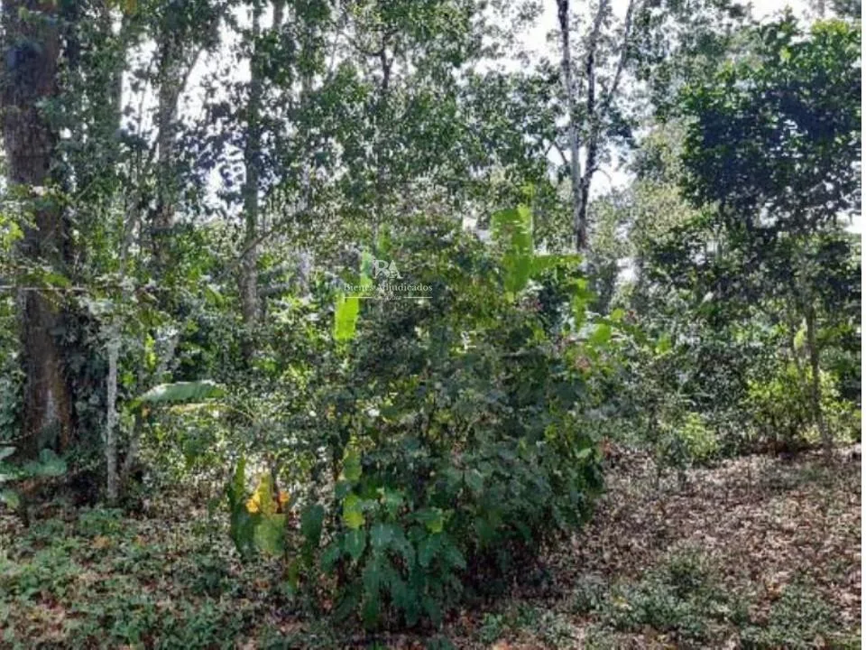 Lote en Búfalo de Limón