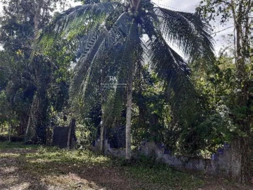 Lote en Búfalo de Limón