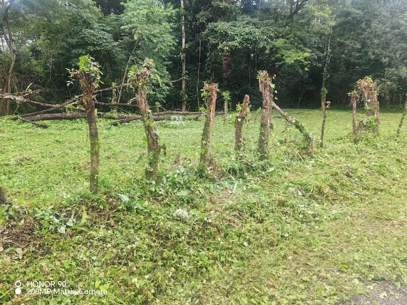 Lote en Canalete de Upala