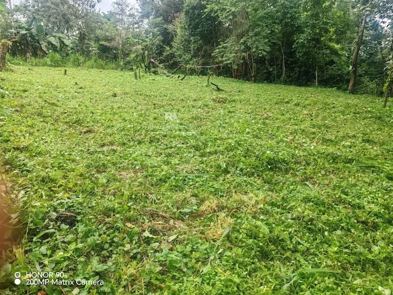 Lote en Canalete de Upala