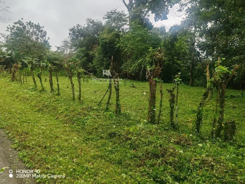 Lote en Canalete de Upala