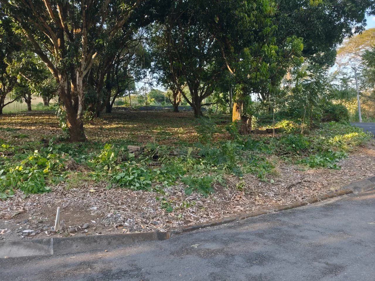 Lote en Condominio Serena Habitat Sostenible Orotina