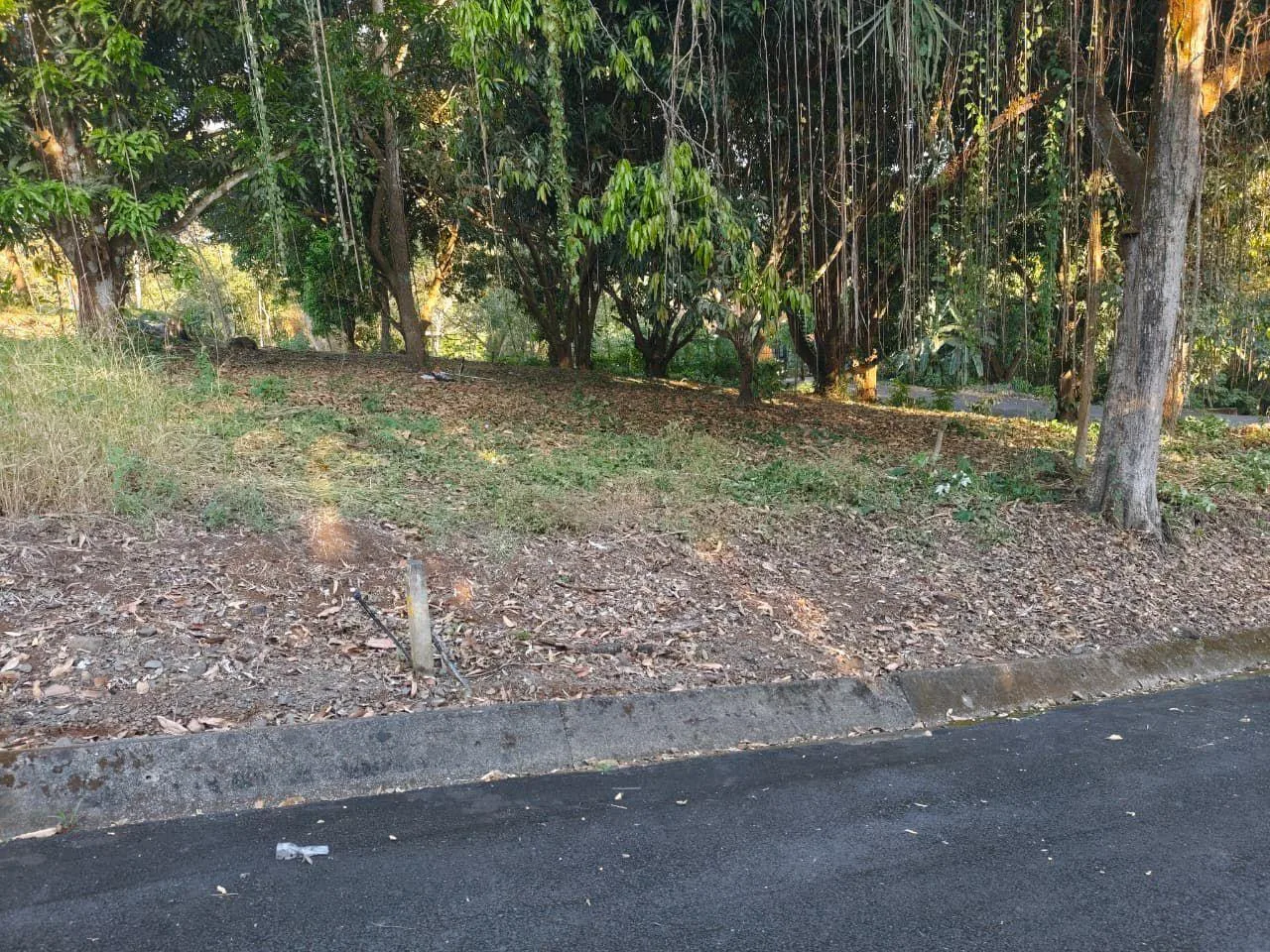 Lote en Condominio Serena Habitat Sostenible Orotina