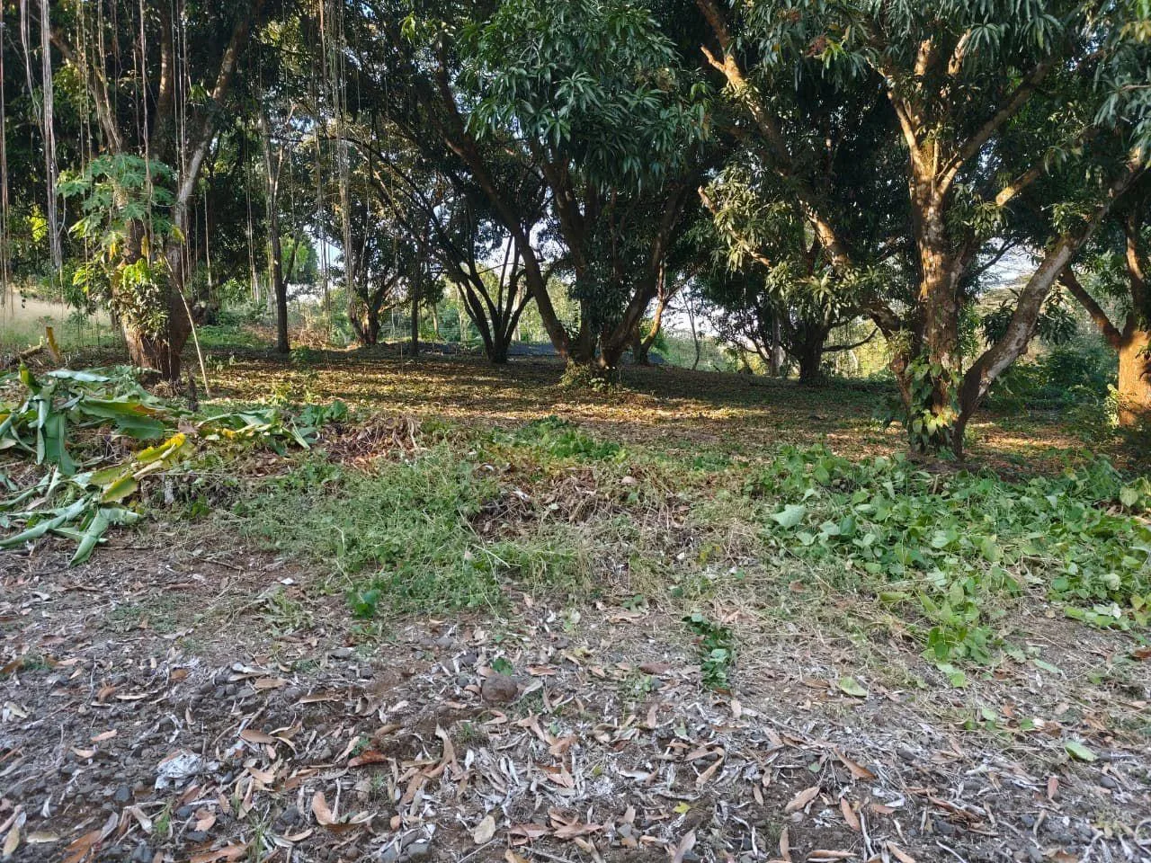 Lote en Condominio Serena Habitat Sostenible Orotina