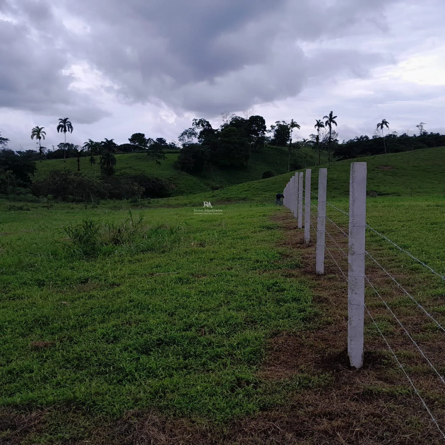 Lote en corazón de Jesús Sarapiquí 2