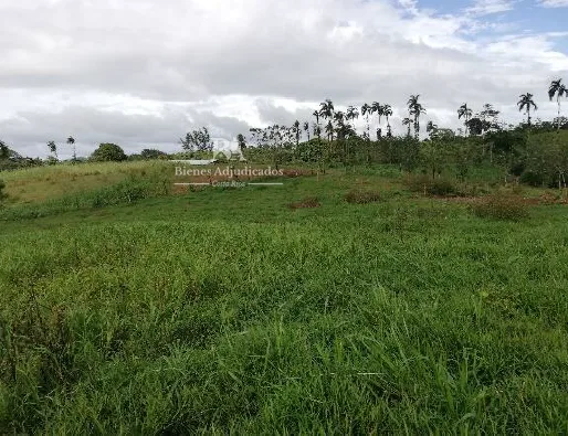 Lote en corazón de Jesús Sarapiquí 2