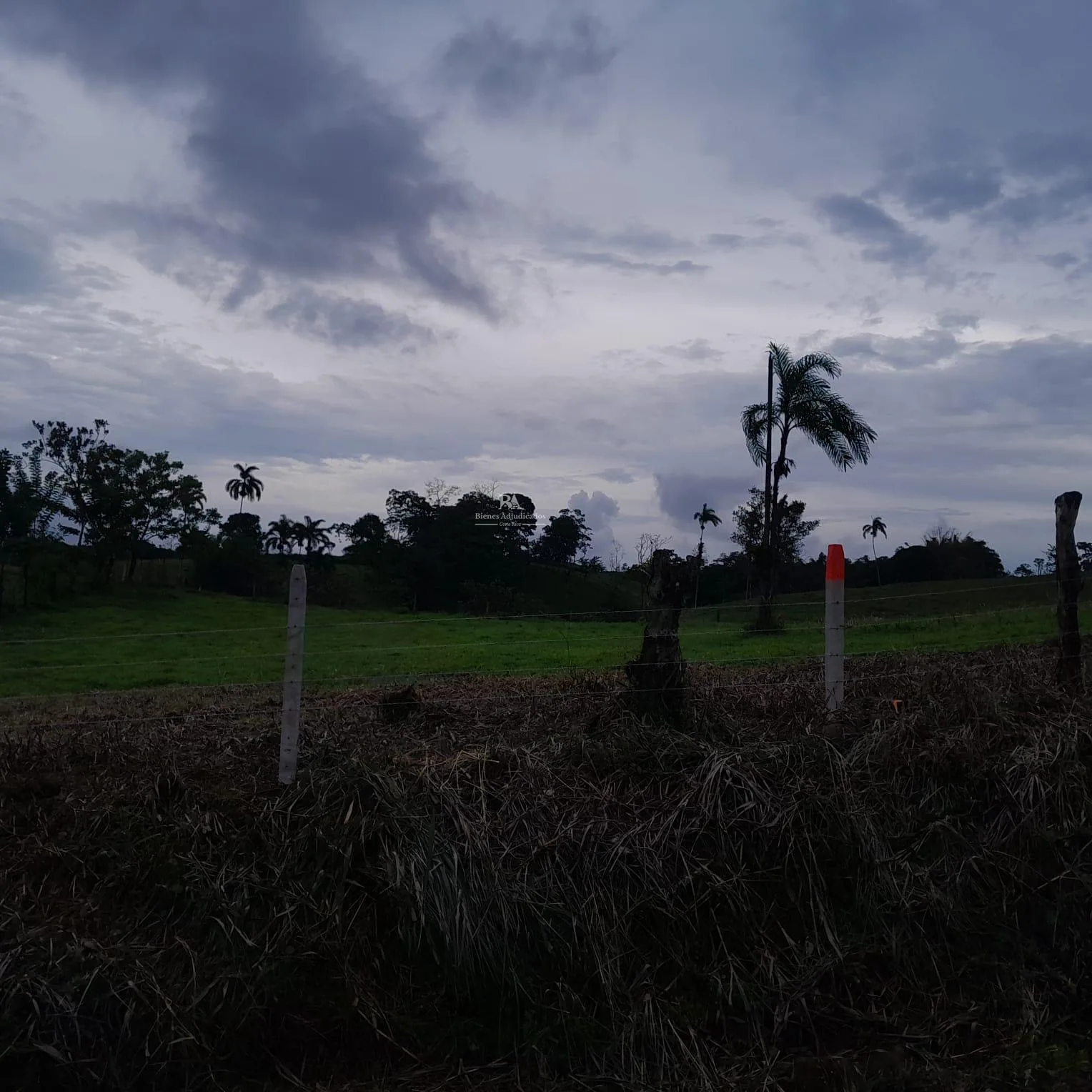Lote en corazón de Jesús Sarapiquí 3