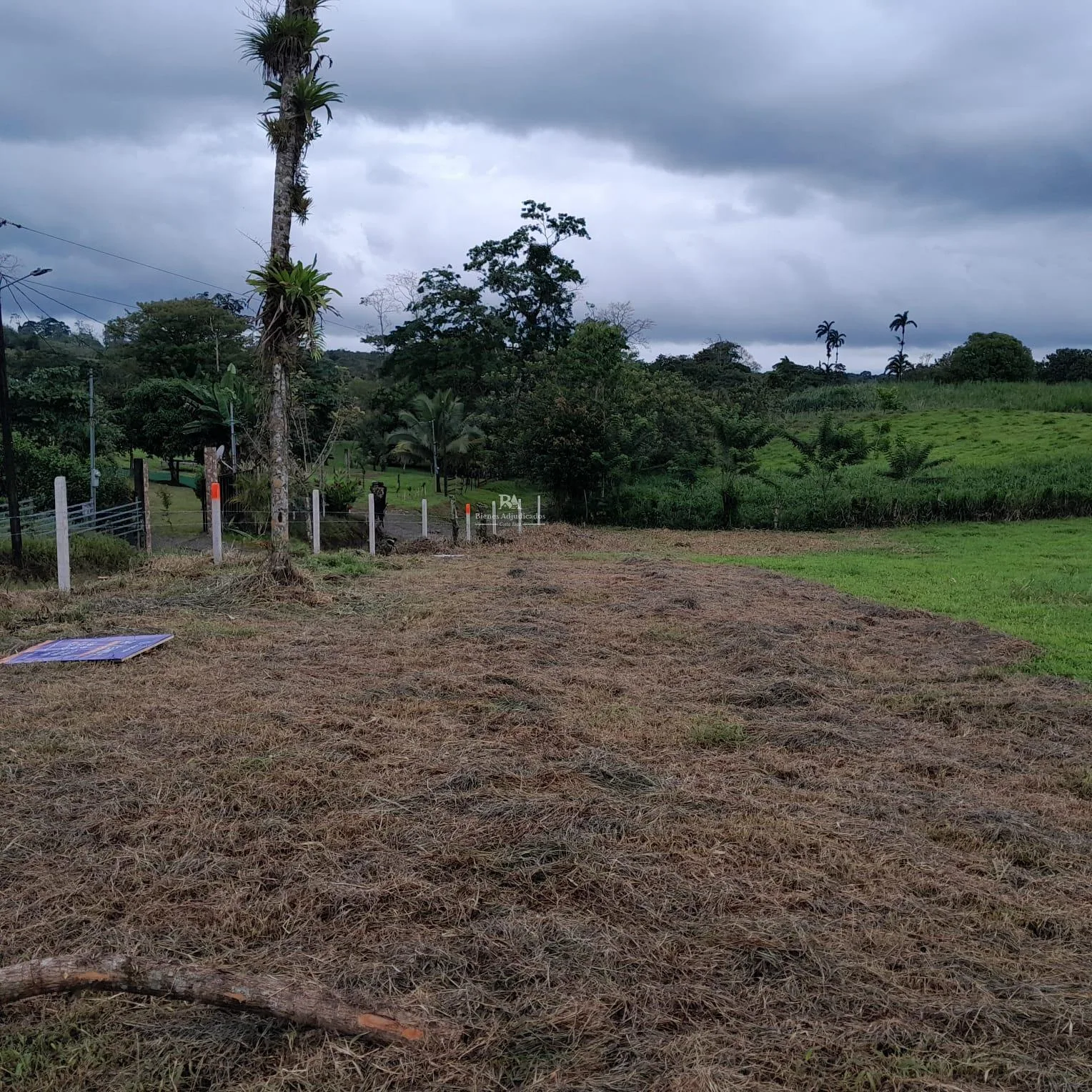 Lote en corazón de Jesús Sarapiquí 3