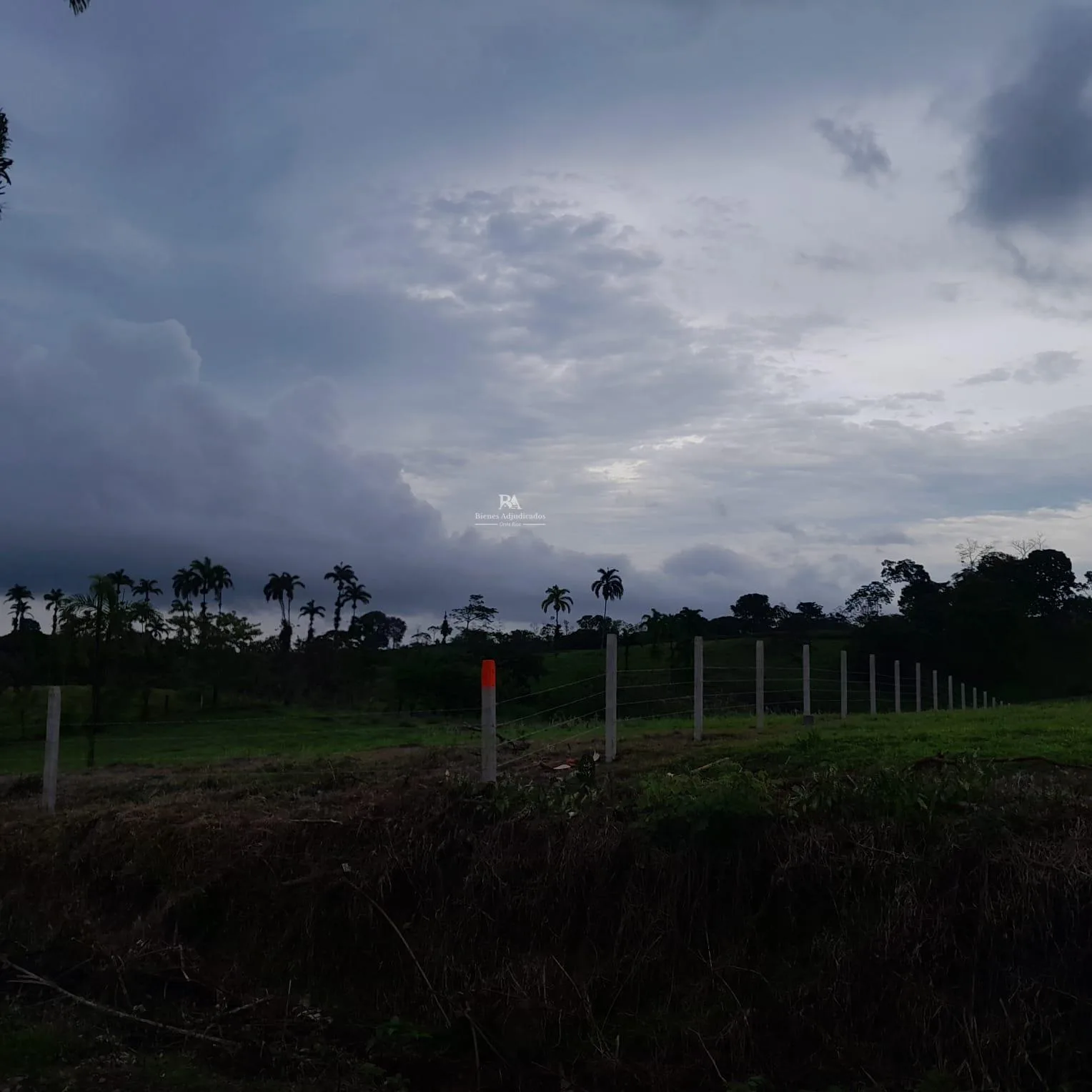 Lote en corazón de Jesús Sarapiquí 3
