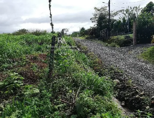 Lote en corazón de Jesús Sarapiquí