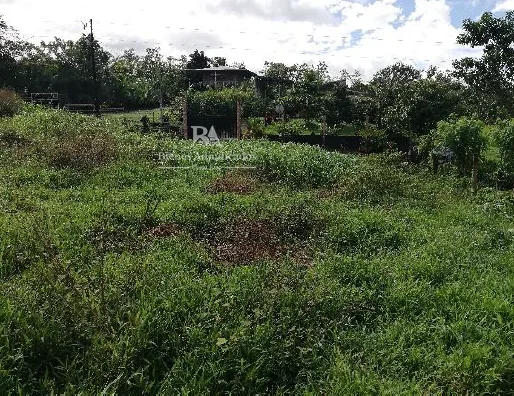 Lote en corazón de Jesús Sarapiquí