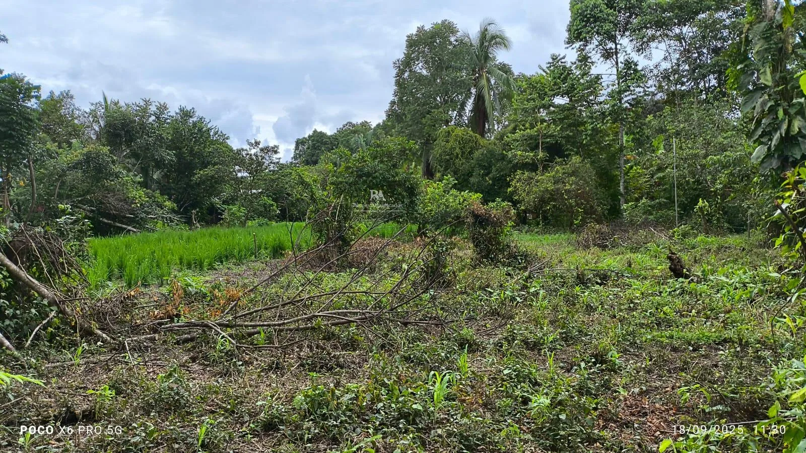 Lote en Golfito Puntarenas