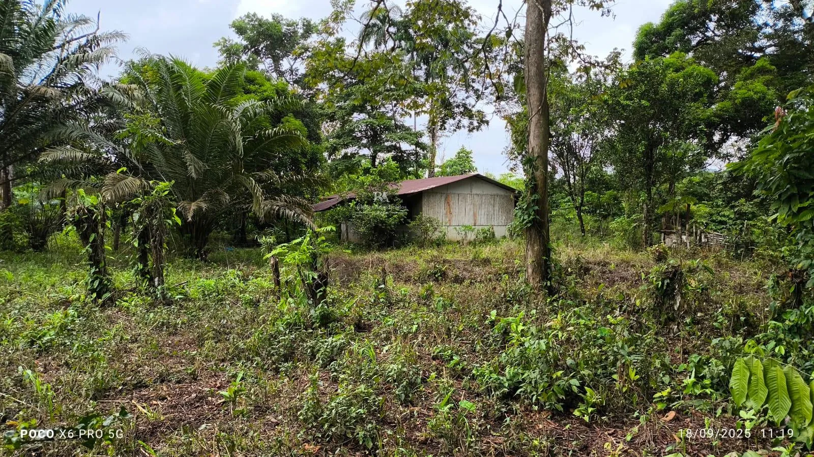 Lote en Golfito Puntarenas