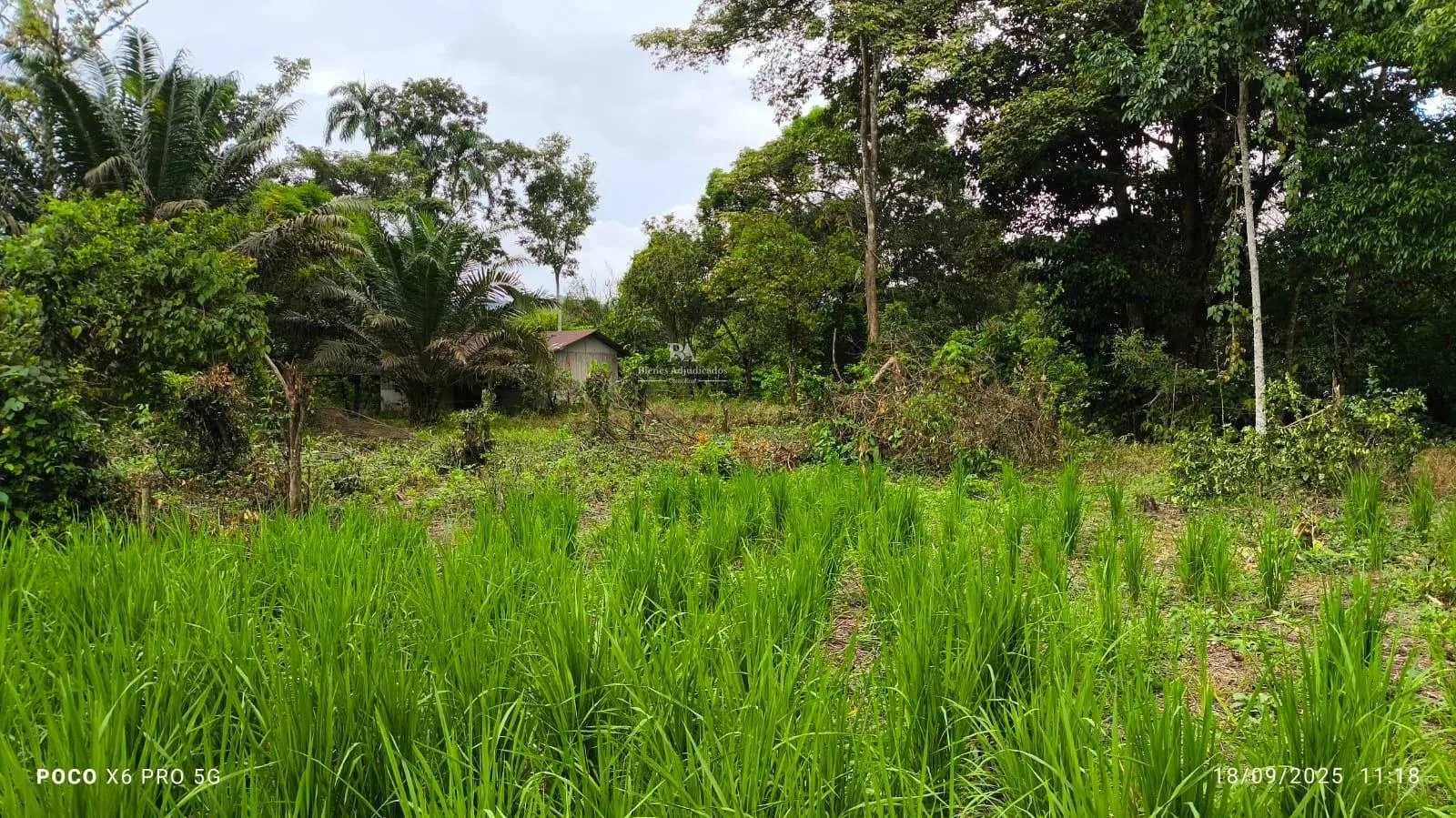 Lote en Golfito Puntarenas