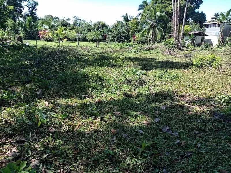 Lote en Guácimo Limón