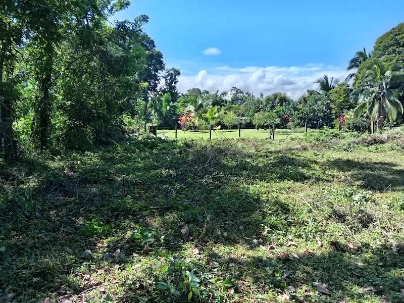 Lote en Guácimo Limón