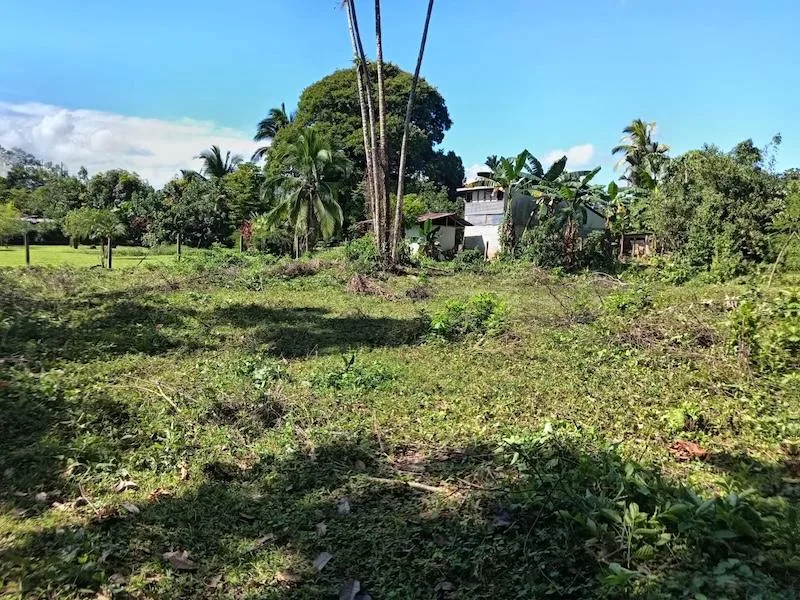 Lote en Guácimo Limón