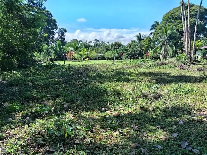 Lote en Guácimo Limón