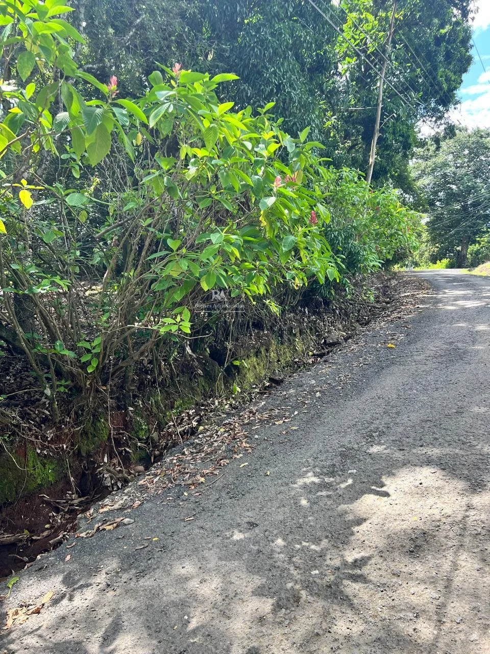 Lote en Hacienda Vieja Orotina