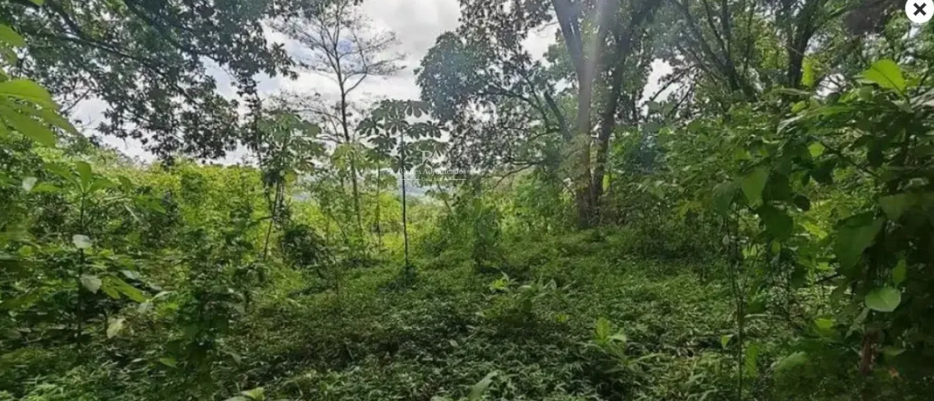Lote en Hacienda Vieja Orotina