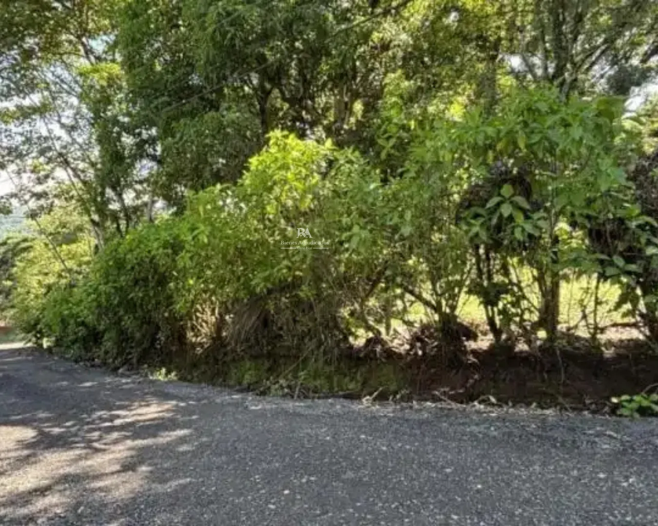 Lote en Hacienda Vieja Orotina