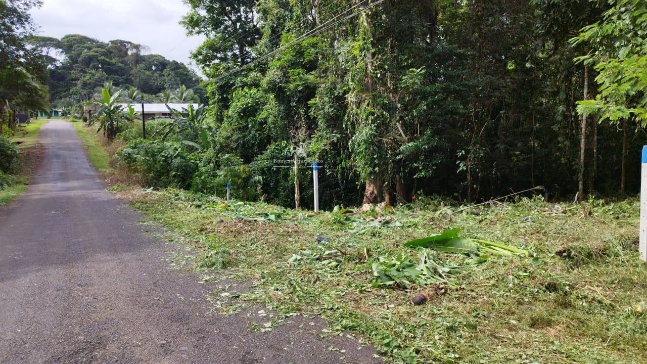 Lote en Heredia Sarapiquí