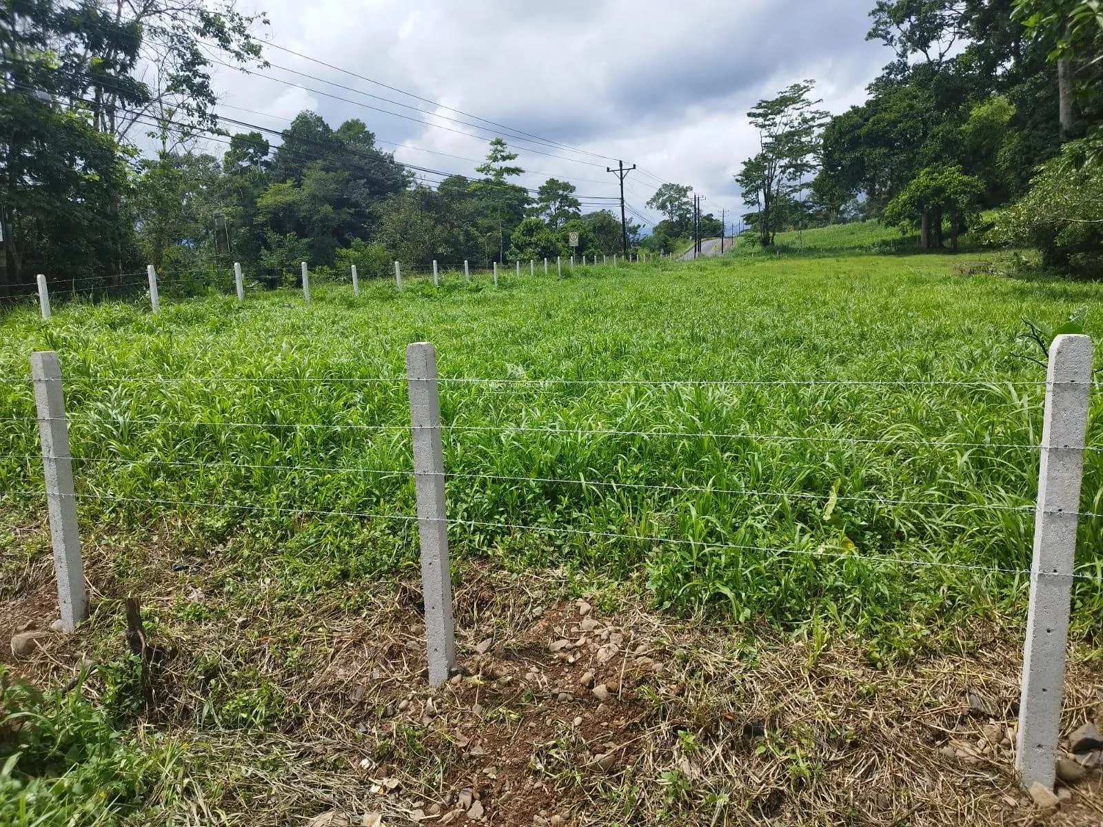 Lote en Heredia Sarapiquí