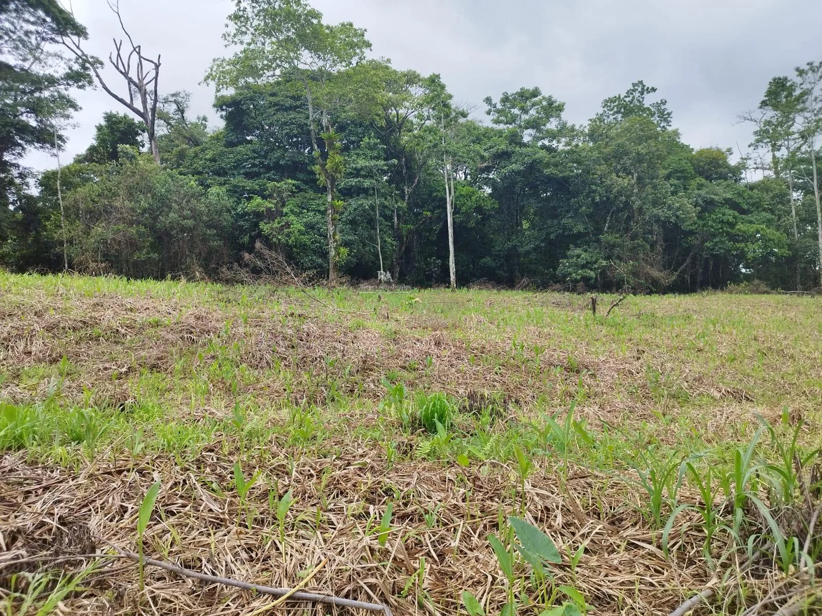 Lote en Heredia Sarapiquí